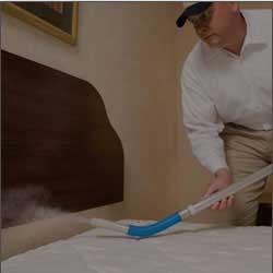 24 Hour pest control London