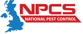 Pest Control Services London