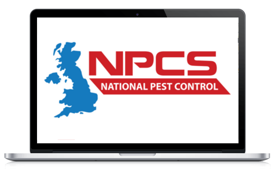 Local Pest Control Services London
